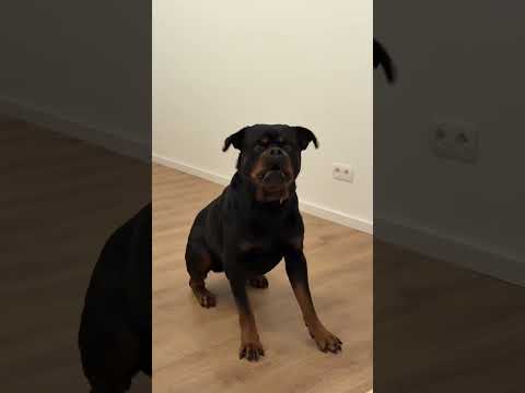 Wie eklig 🤮🤮🤮