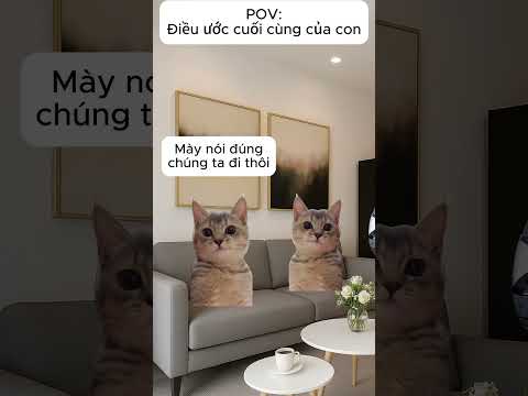 Thế giới luôn có tình yêu..#meme #memecat
