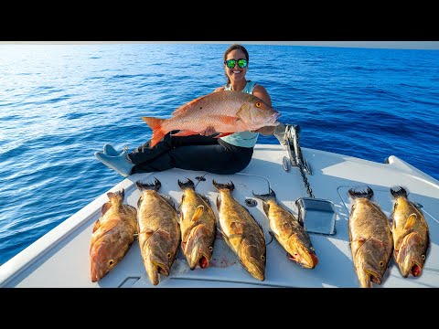 INSANE Fishing 80 miles OFFSHORE! Catch, Clean, Cook! Goodland, Florida