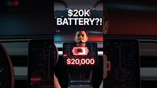 EVRescue  USA Tesla Battery Costs $20K?