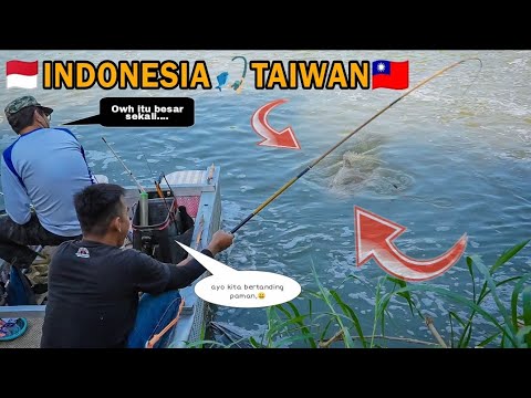 Heboh!!! Kedua pemancing beda negara dibuat KOCAR-KACIR ikan² besar