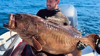 Pesca de Mero Gigante con Arpon!!