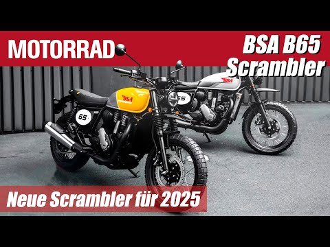 BSA B65 Scrambler | Motorrad Wochenrückblick #153