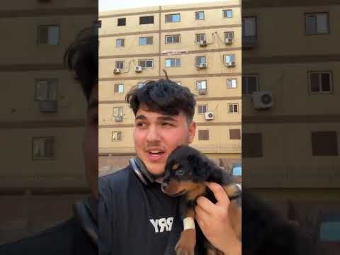 Bis bald Canela😭