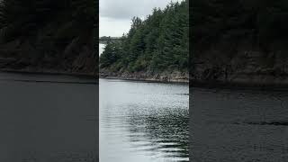 Stunning scenery as always from Norway ! ASMR