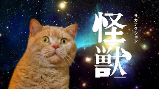 怪獣