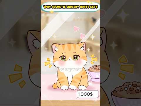 Why Cosmetic Surgery Hurts Cats