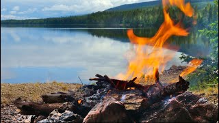 Solo Camping in the Nordic Wilderness
