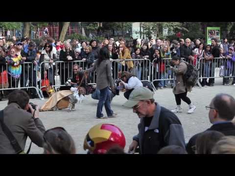 20th Annual Halloween Dog Parade