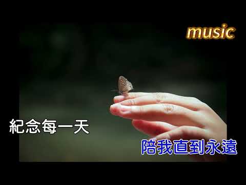 阿飛的小蝴蝶KTV 伴奏 no vocal 無人聲 music 純音樂 karaoke 卡拉OK 伴唱阿飛的小蝴蝶