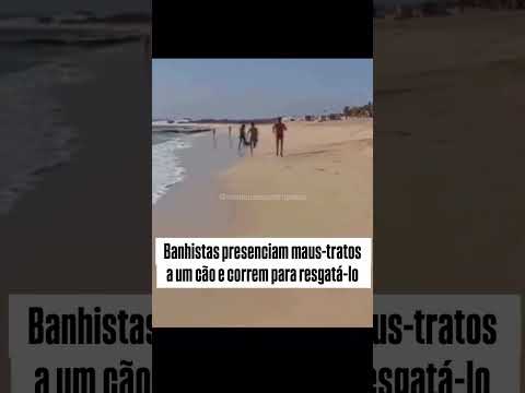 โA voadora foi incrรญvel. Parabรฉns, moรงo.โ ๐๐ป๐พ #doglife #cutedog #memes #shortsviral #video #dog ๐ฅฐ