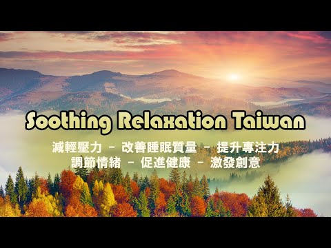 神奇的入眠音波 | 深層睡眠 睡眠音樂 🎶 減輕壓力 - 改善睡眠質量 - 提升專注力 - 調節情緒 - 促進健康 - 激發創意