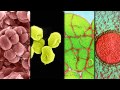Evolutionary Biology: Origins and Domains