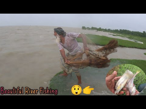 WOW 😳 that's amazing net fishing video in beautiful river - best fishing video in 2024