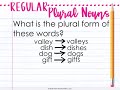 Exploring Regular Plural Nouns