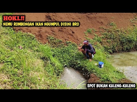 MANTUL.!! BERASA MANCING DI KOLAM INI SI || MANCING DI KUBANGAN KECIL STRIKE BERTUBI TUBI