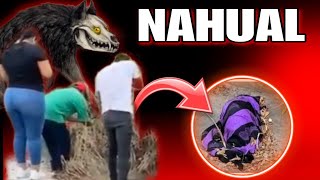 Encuentran a Nahual desvivido 