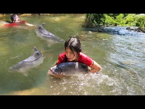 Found Giant fish in the river & Cooking so delicious food for dinner, Catch & cook for survival food