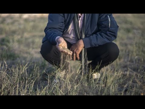YouTube video thumbnail: Morocco’s Oases Struggle to Survive Amid Growing Desertification