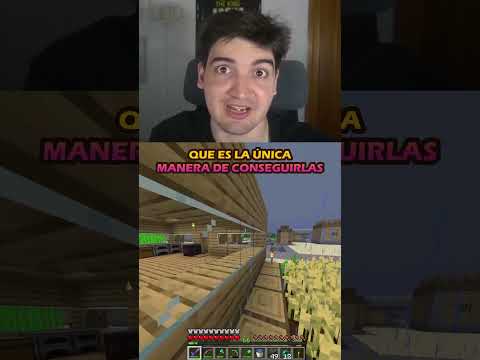 UN SEGUIDOR ME PREGUNTA PORQUE HE CAMBIADO DE VERSION EN MINECRAFT