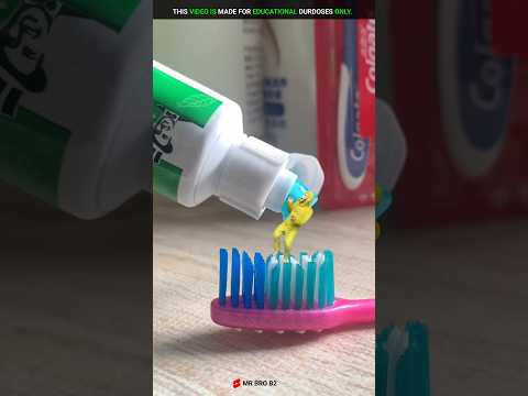 Monkey Food Colgate 🪥🐒| New Viral Gadgets, Smart Appliances, Kitchen Utensils/ Home Inventions