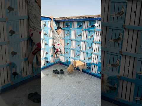 عمل حمام علنفسه