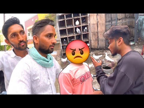 Kabootar Chor Kaun Hai 😳?