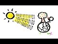 Understanding Energy and Entropy
