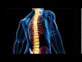 Riding Accident and Injury