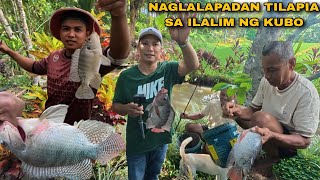 BONDING NAMING MGA MAGKAKAPATID SA BUKID PANGHUHULI NG TILAPIA SA ILALIM NG KUBO
