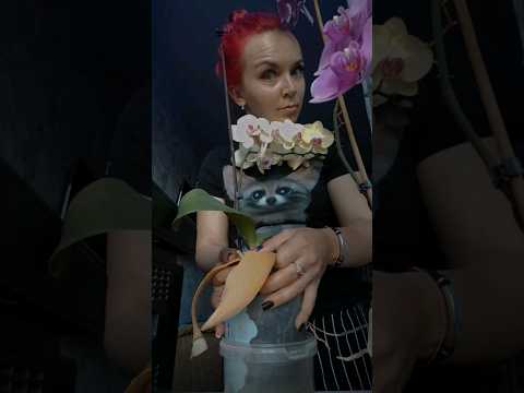 Не Правильно Посадил...Приколы от valya_smol, Тик ток тренды