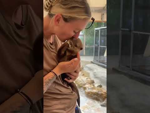 JR LOVES Her So Freaking Much! Come Visit Our AMAZING #Animals Book A Tour Now AnimalEDventures.com
