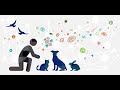 Zoonotic Disease Prevention and Awareness