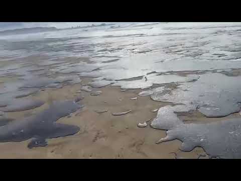 Oil spill reaches and covers coast in Anapa, Krasnodar, Russia