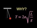Pendulum Motion and Forces Concepts