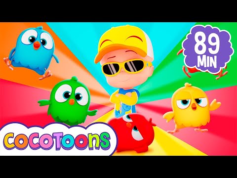 Pollito Amarillito 🐤🎶 y más canciones infantiles de Cleo y Cuquin | Cocotoons
