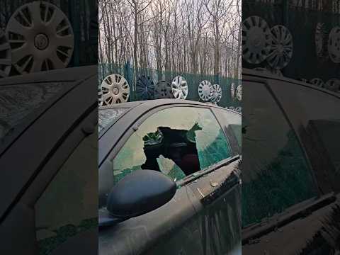 Experiment with grinder and water #shortvideo #shorts #car #short