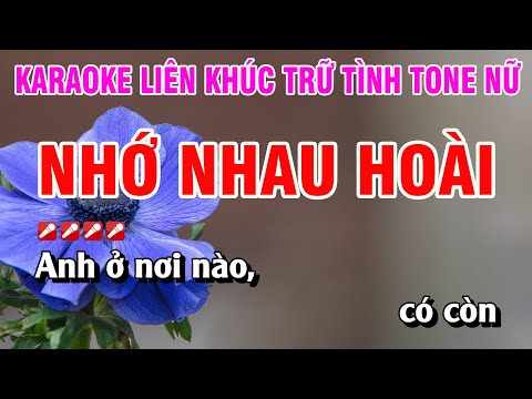 Karaoke Liên Khúc Trữ Tình Tone Nữ Dễ Hát – Nhớ Nhau Hoài | Nguyễn Linh