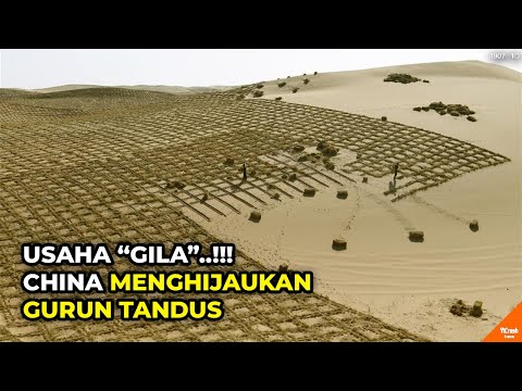 GIMANA NGGAK DISEBUT GILA? Kalian Tidak Akan Melihat Ini, Kecuali di China! Nyesel Nggak Lihat
