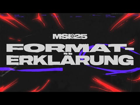 Format-Erklärung | MSI 2025