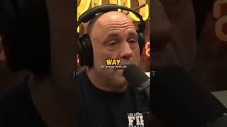 Joe Rogan podcast