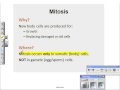 Mitosis and Meiosis: Key Concepts and Processes