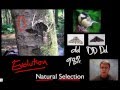 Understanding Evolution and Natural Selection