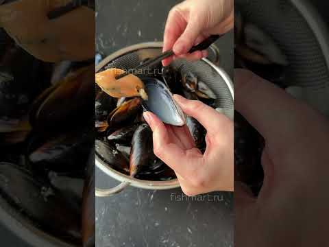 КАК ЕСТЬ МИДИИ