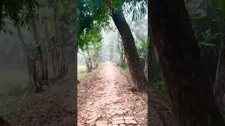 Village morning walking…