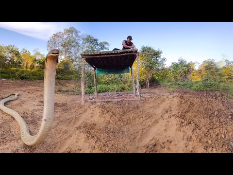 100 JAM BERPETUALANG MEMBUAT GUBUK BAMBU DI TENGAH HUTAN BERSAMA ULAR KING COBRA..