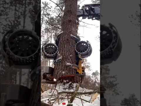Tree Cutting In Seconds ?