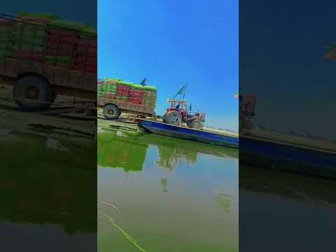Máy cày Massey Ferguson 385 Chạy xuống phà bốc đầu quá dữ #shorts #shortvideo #youtube