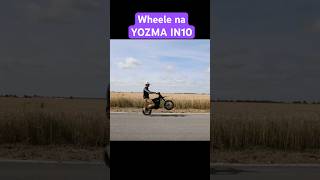 Czy można robić wheele na YOZMA IN 10 za 6000 zł