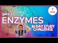 Exploring Enzymes in Biology